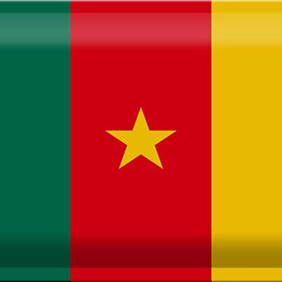 Targa in metallo Bandiera Camerun 30x20 cm Bandiera del Camerun