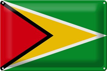 Signe en étain drapeau Guyane 30x20cm drapeau de la Guyane 1