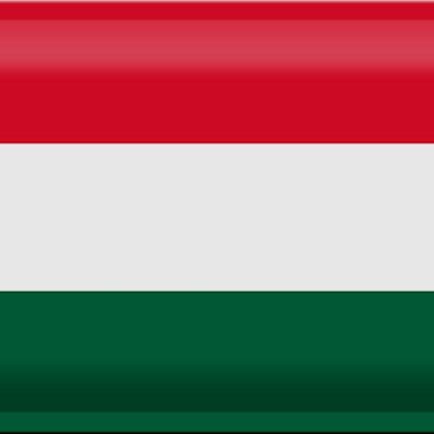 Blechschild Flagge Ungarn 30x20cm Flag of Hungary