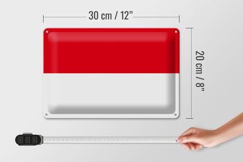 Drapeau en étain de l'indonésie, 30x20cm, drapeau de l'indonésie 4