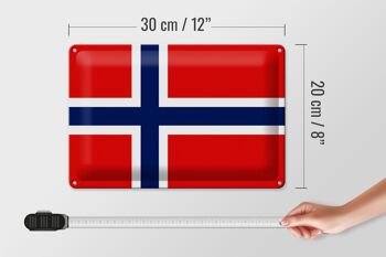 Drapeau de la Norvège en étain, 30x20cm, drapeau de la Norvège 4