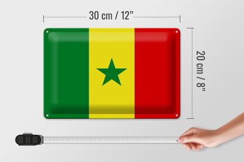 Signe en étain Drapeau du Sénégal 30x20cm Drapeau du Sénégal 4