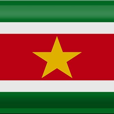 Signe en étain drapeau Suriname 30x20cm drapeau du Suriname