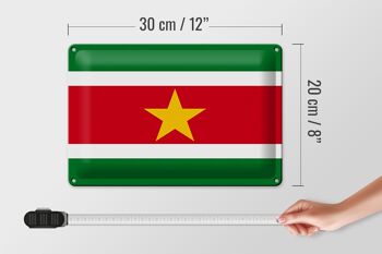 Signe en étain drapeau Suriname 30x20cm drapeau du Suriname 4