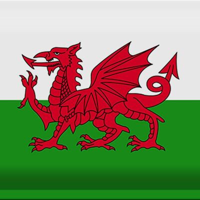 Targa in metallo Bandiera del Galles 30x20 cm Bandiera del Galles