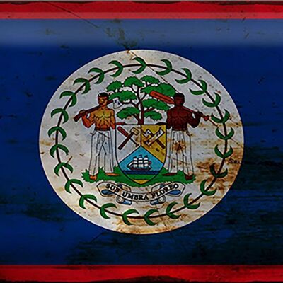 Targa in metallo Bandiera Belize 30x20 cm Bandiera del Belize Ruggine