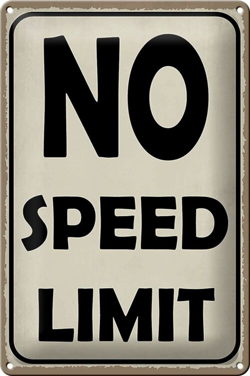 Blechschild Spruch 20x30cm No speed limit