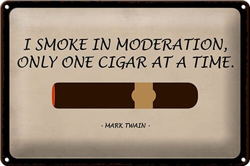Blechschild Spruch 30x20cm i smoke in moderation only cigar