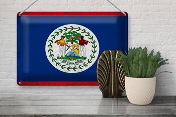 Signe en étain drapeau Belize 30x20cm drapeau du Belize Vintage 3