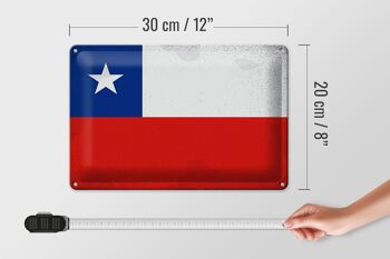 Drapeau du Chili en étain, 30x20cm, Vintage, drapeau du Chili 4