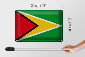 Signe en étain drapeau Guyane 30x20cm drapeau de Guyane Vintage 4