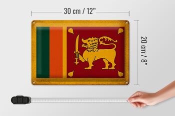 Drapeau en étain du Sri Lanka, 30x20cm, Vintage 4