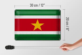 Signe en étain drapeau Suriname 30x20cm drapeau Suriname Vintage 4