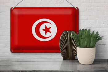Signe en étain drapeau tunisie 30x20cm drapeau de tunisie Vintage 3