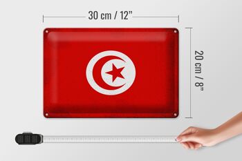 Signe en étain drapeau tunisie 30x20cm drapeau de tunisie Vintage 4