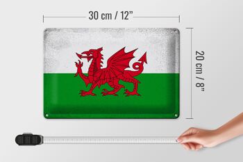 Signe en étain drapeau du pays de Galles, 30x20cm, drapeau du pays de Galles Vintage 4