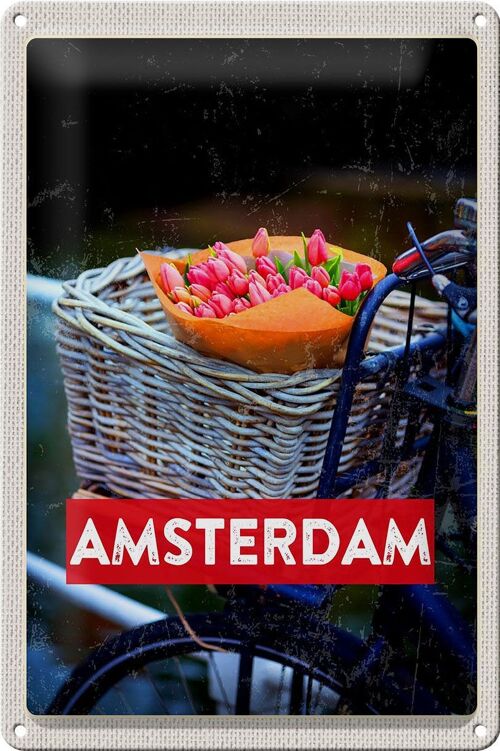 Blechschild Reise 20x30cm Retro Amsterdam Tulpen Fahrrad