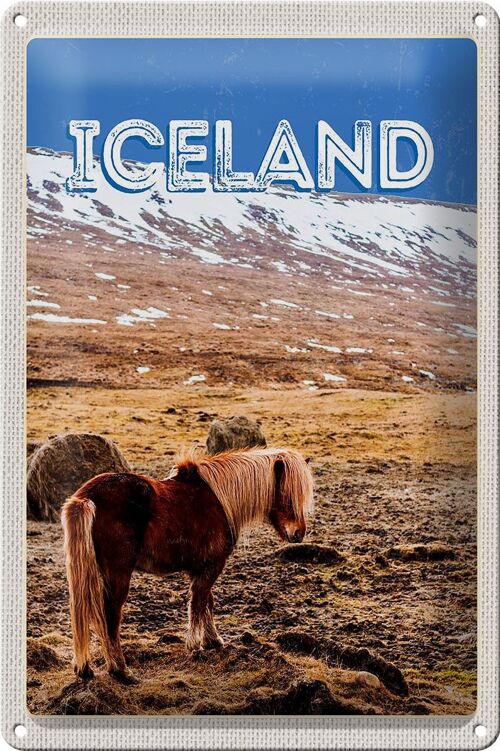 Blechschild Reise 20x30cm Iceland Pony icelandic horse