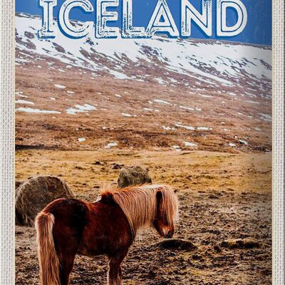 Blechschild Reise 20x30cm Iceland Pony icelandic horse