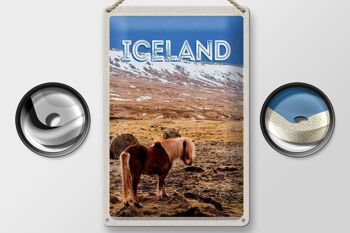 Plaque en étain voyage 20x30cm poney islandais cheval islandais 2