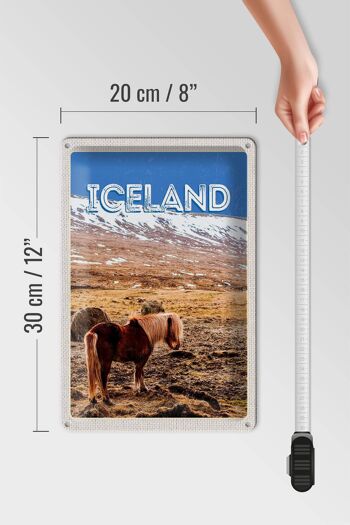 Plaque en étain voyage 20x30cm poney islandais cheval islandais 4