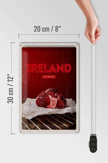 Plaque en tôle voyage 20x30cm Irlande meilleur steak rouge au four 4