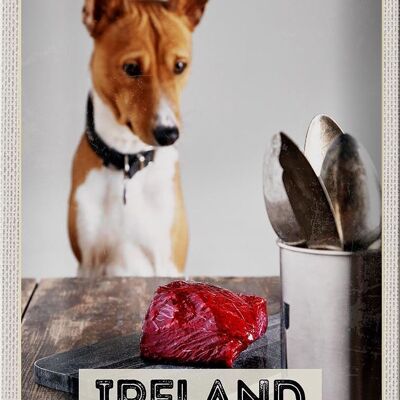 Targa in metallo da viaggio 20x30 cm Irlanda Europa Steak Dog Island