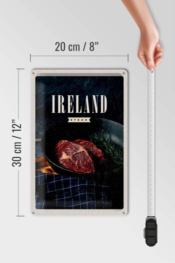 Plaque en tôle voyage 20x30cm Irlande steak poivre frit 4