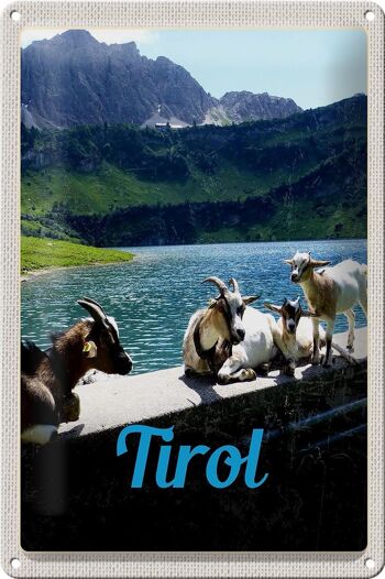 Panneau en étain voyage 20x30cm, Tyrol, autriche, chèvres, eau, nature 1