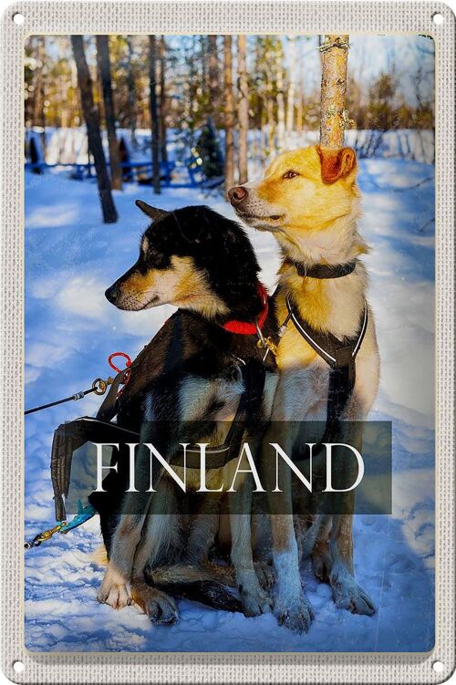 Blechschild Reise 20x30cm Finnland Schnee Winterzeit Wald Hunde