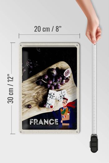 Plaque en tôle voyage 20x30cm France raisins figues moule fromage 4