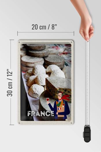 Plaque en étain voyage 20x30cm France moule fromage vin nourriture 4