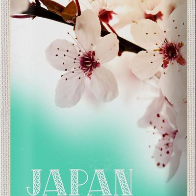 Targa in metallo da viaggio 20x30 cm Giappone Asia fiore bianco rosa natura