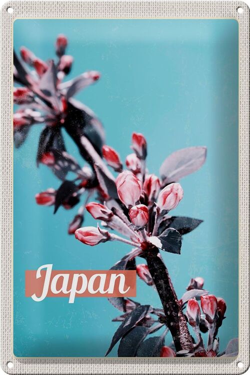 Blechschild Reise 20x30cm Japan Asien Blumen Baum Knospe Urlaub