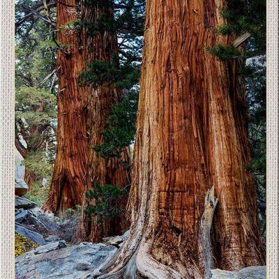 Cartel de chapa de viaje, 20x30cm, California, América, naturaleza, bosque, árboles
