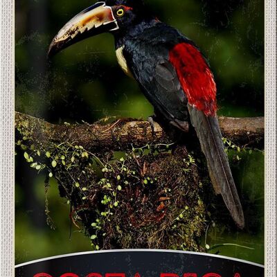 Signe en étain voyage 20x30cm, Costa Rica, amérique centrale, oiseau Nature