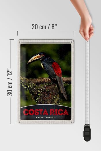 Signe en étain voyage 20x30cm, Costa Rica, amérique centrale, oiseau Nature 4