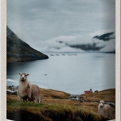 Blechschild Reise 20x30cm Dänemark Faroe Island Schaf Urlaub