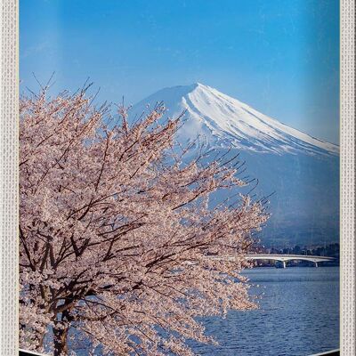 Blechschild Reise 20x30cm Mont Fuji Japan Asien Gebirge Baum