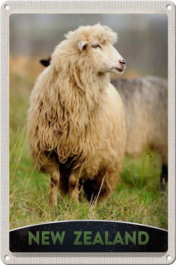 Signe en étain voyage 20x30cm, nouvelle-zélande Europe mouton prairie Nature 1
