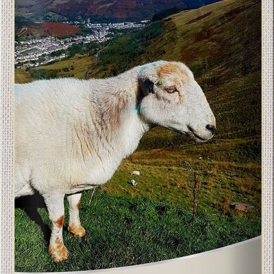 Cartel de chapa de viaje, 20x30cm, Gales, Reino Unido, pradera de ovejas, naturaleza