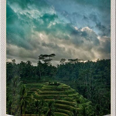 Cartel de chapa viaje 20x30cm Tegalalang Indonesia Asia Trópicos