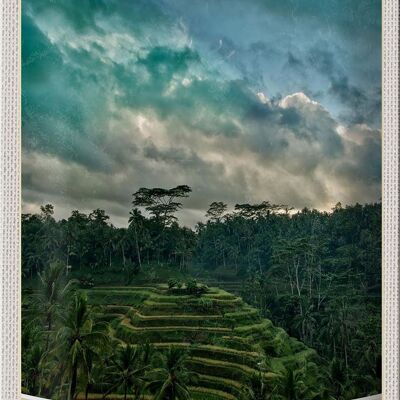 Tin sign travel 20x30cm Tegalalang Indonesia Asia Tropics