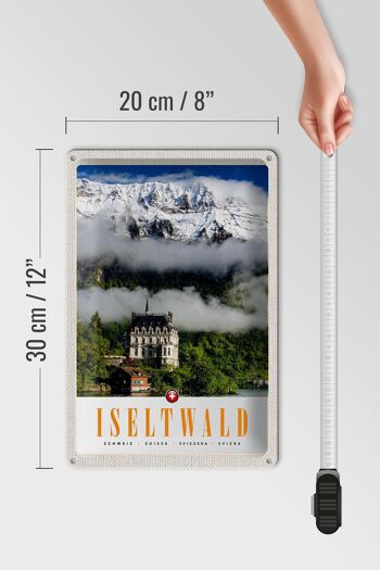 Panneau de voyage en étain, 20x30cm, montagnes d'iseltwald, château de forêt de neige 4