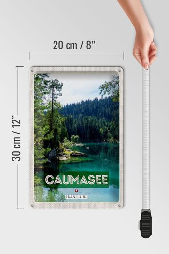 Panneau en étain voyage 20x30cm, lac de Cauma, suisse, montagnes, forêts, Nature 4