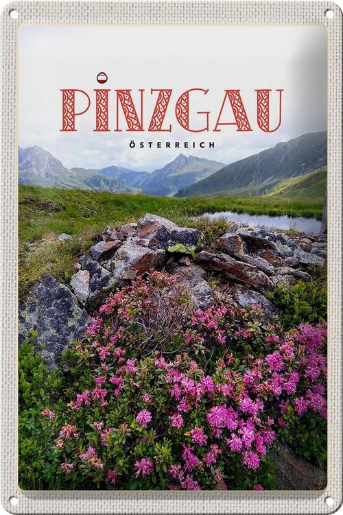 Blechschild Reise 20x30cm Pinzgau Österreich Blumen Natur Berge