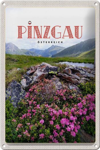 Signe en étain voyage 20x30cm Pinzgau autriche fleurs Nature montagnes 1