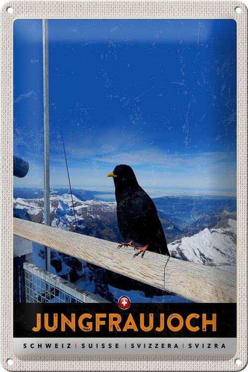 Blechschild Reise 20x30cm Jungfraujoch Schweiz Rabe Winter Natur