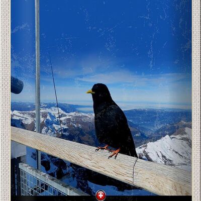 Cartel de chapa de viaje 20x30cm Jungfraujoch Suiza Cuervo Naturaleza invernal