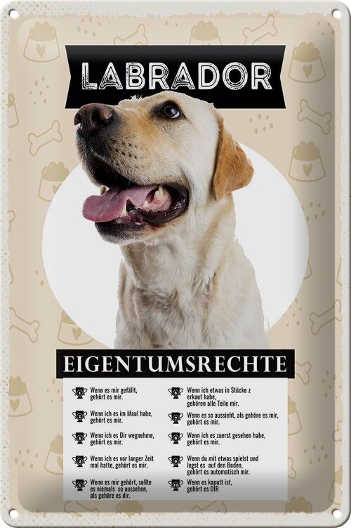 Blechschild Spruch 20x30cm Labrador Eigentumsrechte